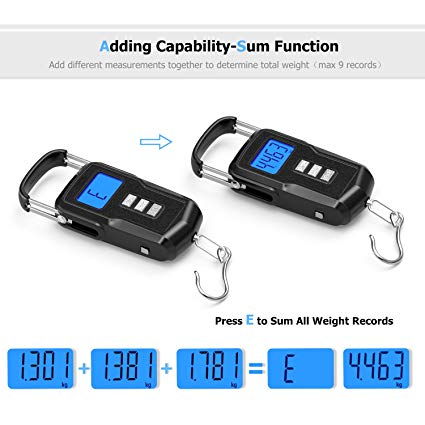 Fishing Scale, FS01, Dr.meter