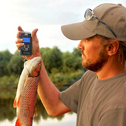 Digital Fishing Postal Hanging Hook Scale, PS01, - Main Image